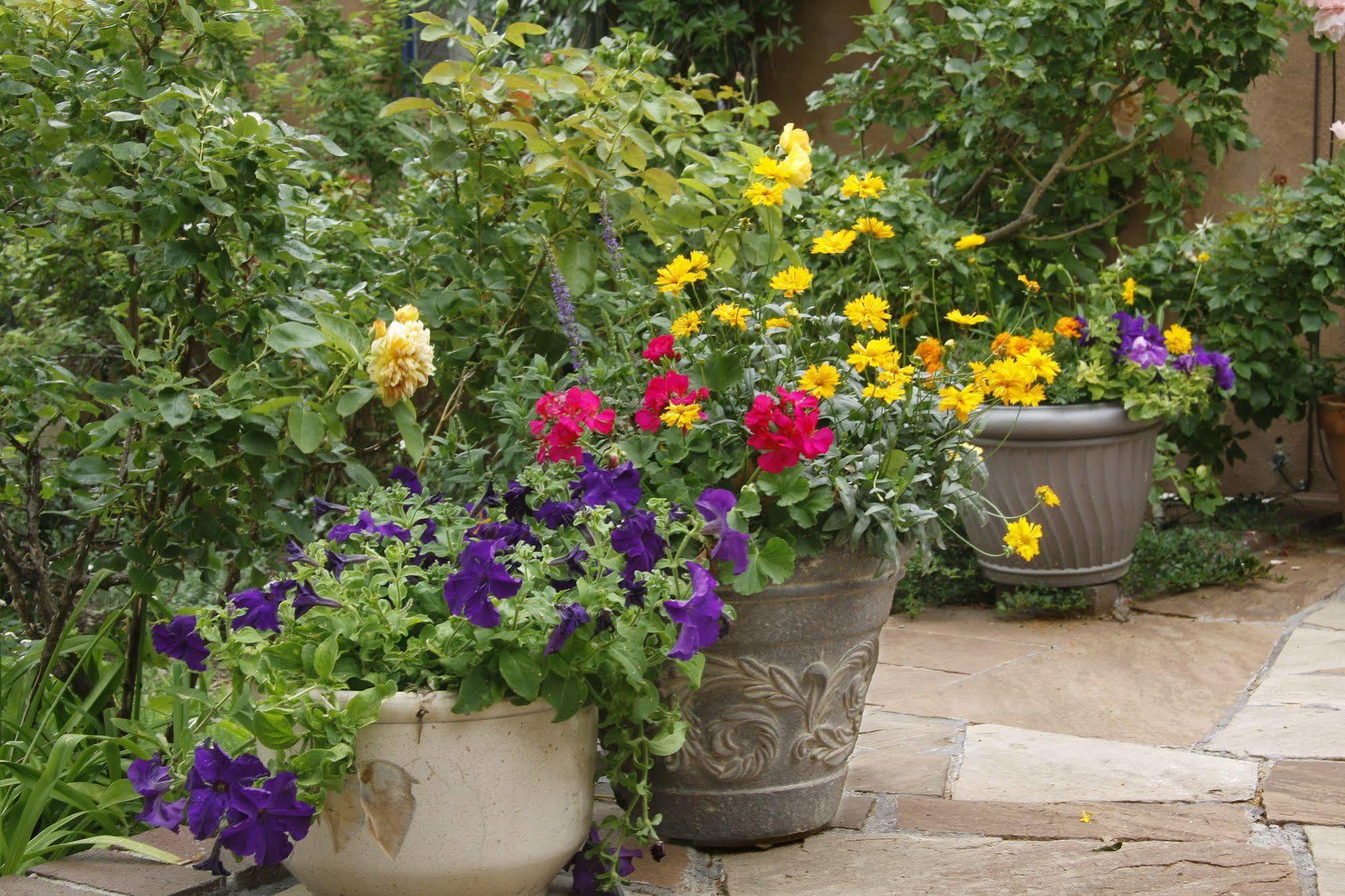סנטה פה The Madeleine Bed & Breakfast Inn מראה חיצוני תמונה